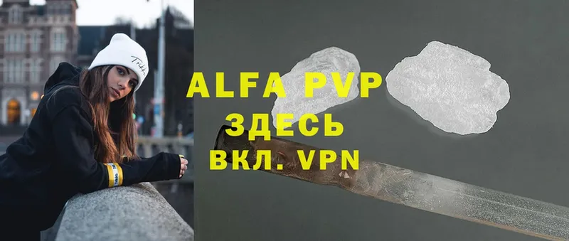 где найти   Кедровый  APVP СК 