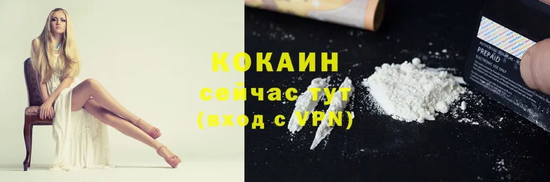 купить  сайты  Кедровый  COCAIN Колумбийский 